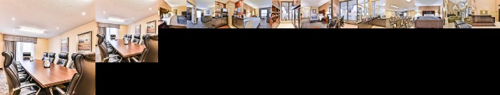 Comfort Inn & Suites Ambassador Bridge