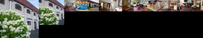 All Seasons Inn & Suites