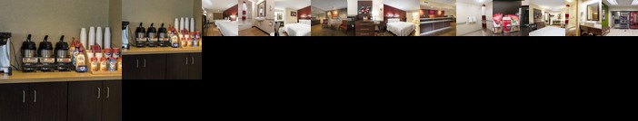 Red Roof Inn PLUS+ West Springfield