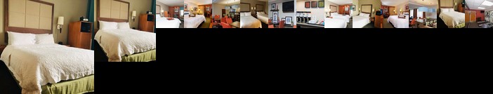 Hampton Inn Ann Arbor - North