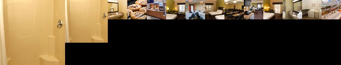 Holiday Inn Express Hotel & Suites Saginaw