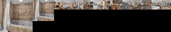 Holiday Inn Buffalo International Airport