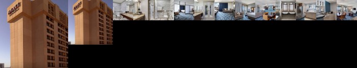 Hyatt Regency DFW International Airport