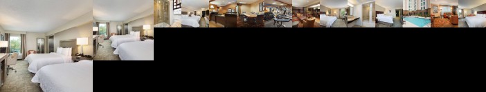 Hampton Inn Houston Near the Galleria