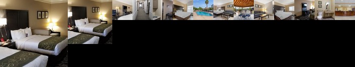 Comfort Suites Kingwood Humble