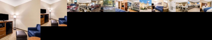 Comfort Inn & Suites IAH Bush Airport - East