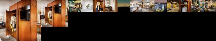 Staypineapple at Watertown Hotel