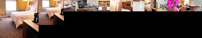 Holiday Inn Express Hotel and Suites Surrey