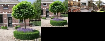 Hotel & Appartementen Triente