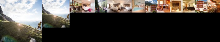 Alpenhotel Tirolerhof