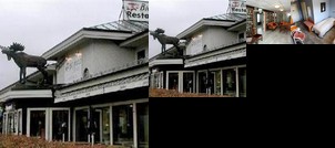 Big Moose Hotel