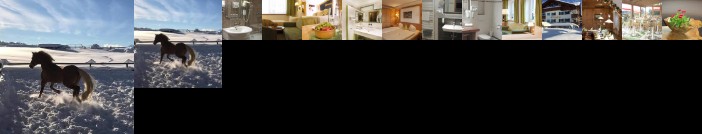 Haflingerhof Rosshaupten