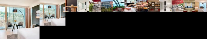 Lyon Marriott Hotel Cite Internationale