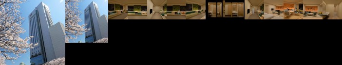 Hotel Nikko Kochi Asahi Royal