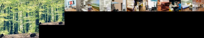 Ibis Haguenau Strasbourg Nord