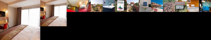 Hotel Saint Hubert - Colmar Sud