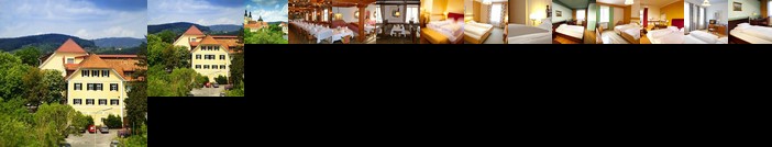 Hotel Pfeifer zum Kirchenwirt