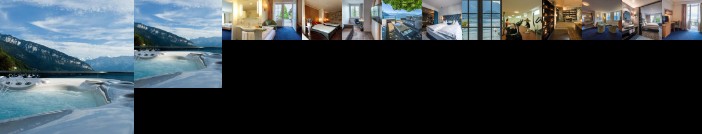 Parkhotel Gunten- Beach & Spa