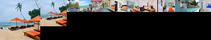 Calamander Unawatuna Beach