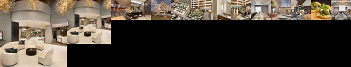 Embassy Suites Dallas - DFW Airport North Outdoor World