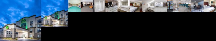 Wingate by Wyndham Atlanta Galleria/ Ballpark