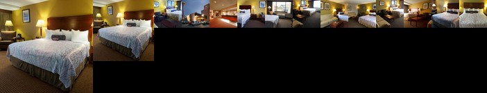 Executive Inn By The Space Needle