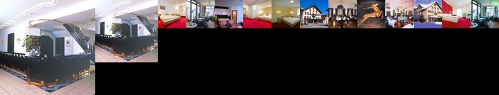 Hotel Goldener Hirsch Reutte