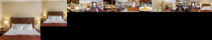 Comfort Inn Airport St John's