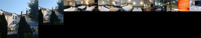 Best Western Hotel Grand Parc Marne La Vallee