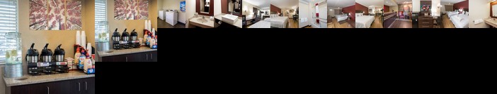 Red Roof Inn PLUS+ Columbus Dublin