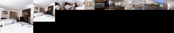 Red Roof Inn Knoxville Central - Papermill Road