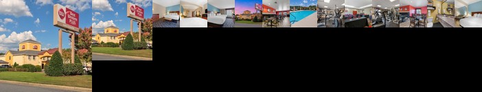 BEST WESTERN Plus Suites Greenville