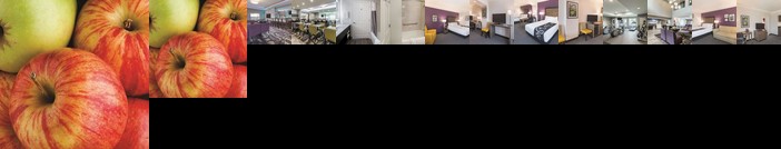 La Quinta Inn & Suites Arlington North Six Flags Drive