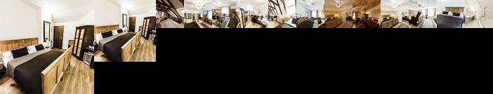 Archibald At the Charles Bridge