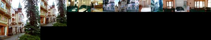 Lazensky Hotel Smetana - Vysehrad