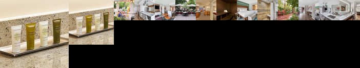 Hilton Grand Vacations at the Flamingo