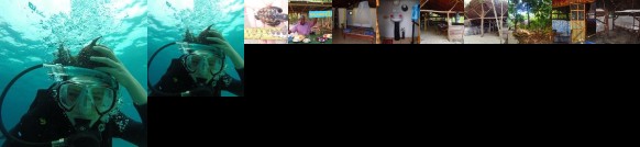 Tranquility Island Resort