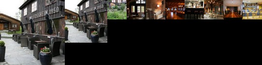 Fossheim Hotel Lom