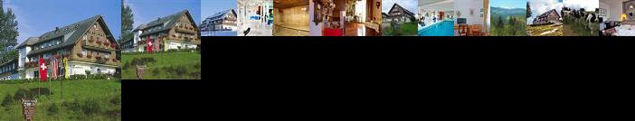 Hotel Diana Feldberg