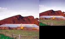 Mount Sturgeon Cottages Dunkeld