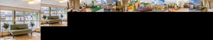 Quality Inn Flamingo