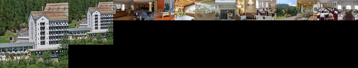 Hotel Schweizerhof Sils-Maria