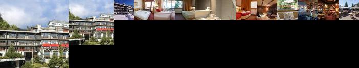 Hotel de la Foret Crans-Montana