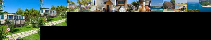 Arena Stupice Mobile Homes