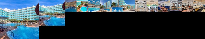 H10 Delfin - Adults Only