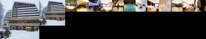 Hotel International Sinaia