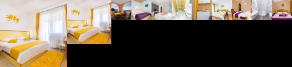 Pansion Zlatna Ribica