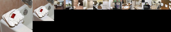 Microtel Inn & Suites by Wyndham Jacksonville Airport