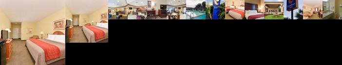 Comfort Inn Marrero New Orleans West