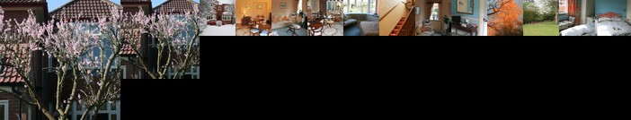 The Heathers Guest House Clifton Without